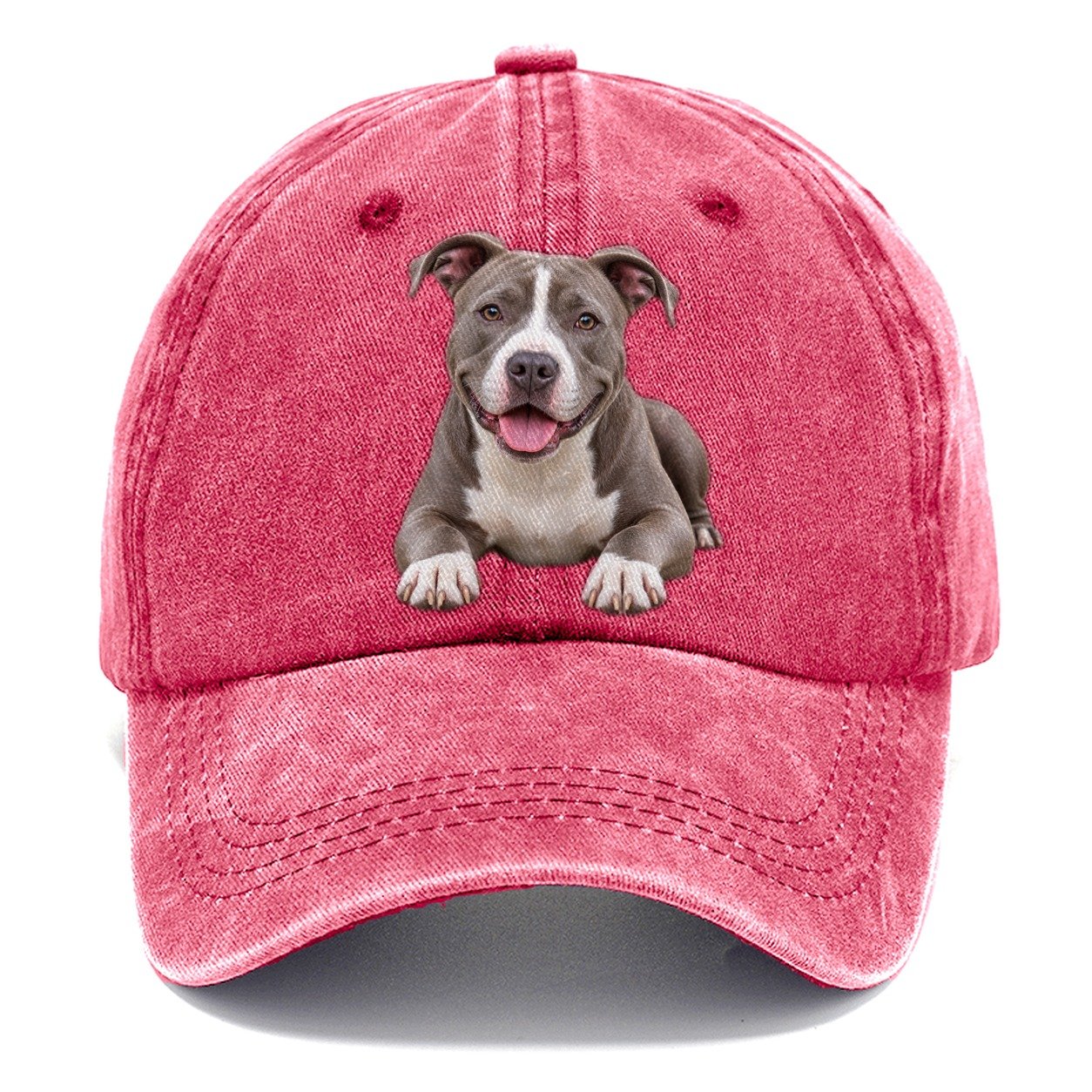 Pit Bull Terrier Lying Down Top Breeds Classic Cap – Pomegranate Blush