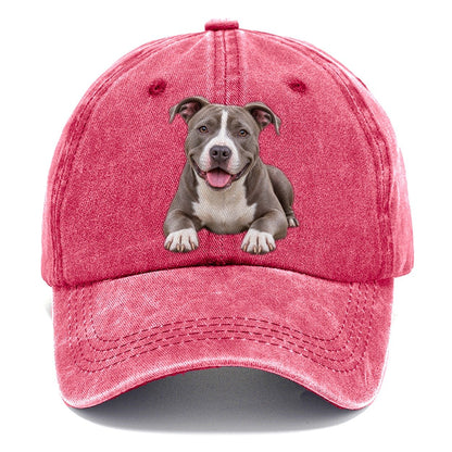 Pit Bull Terrier Lying Down Top Breeds Classic Cap – Pomegranate Blush
