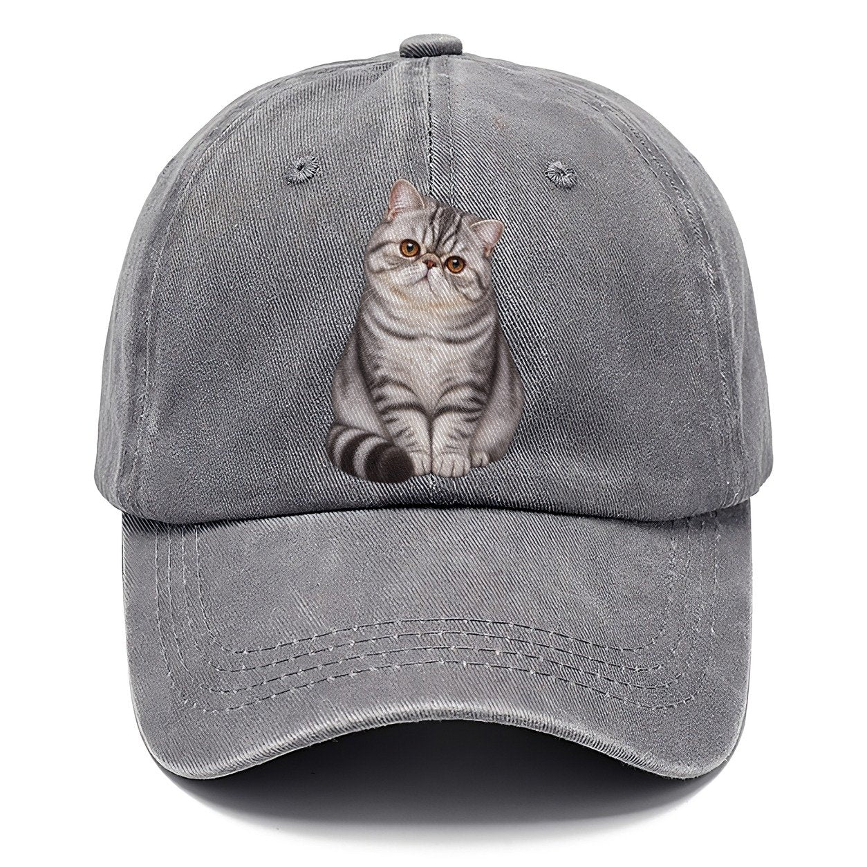 Exotic Shorthair Seated Portrait Realistic Cat Portrait Classic Cap – Urban Haze