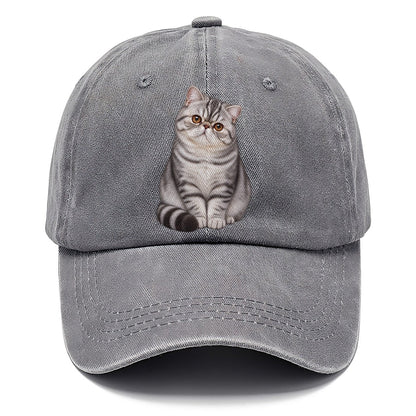 Exotic Shorthair Seated Portrait Realistic Cat Portrait Classic Cap – Urban Haze