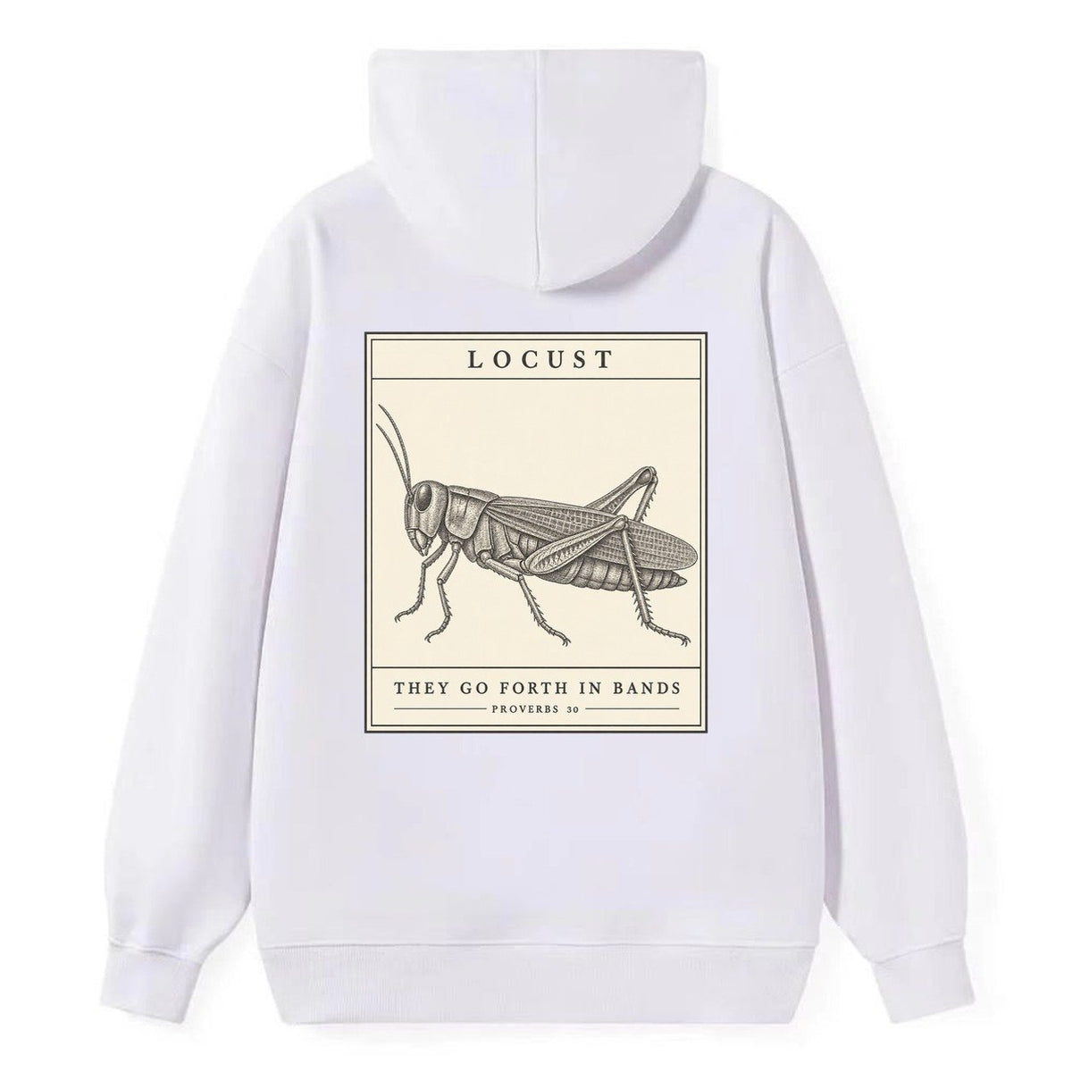 Locust Specimen Plate Creature Canticle Classic Pullover Hoodie – White