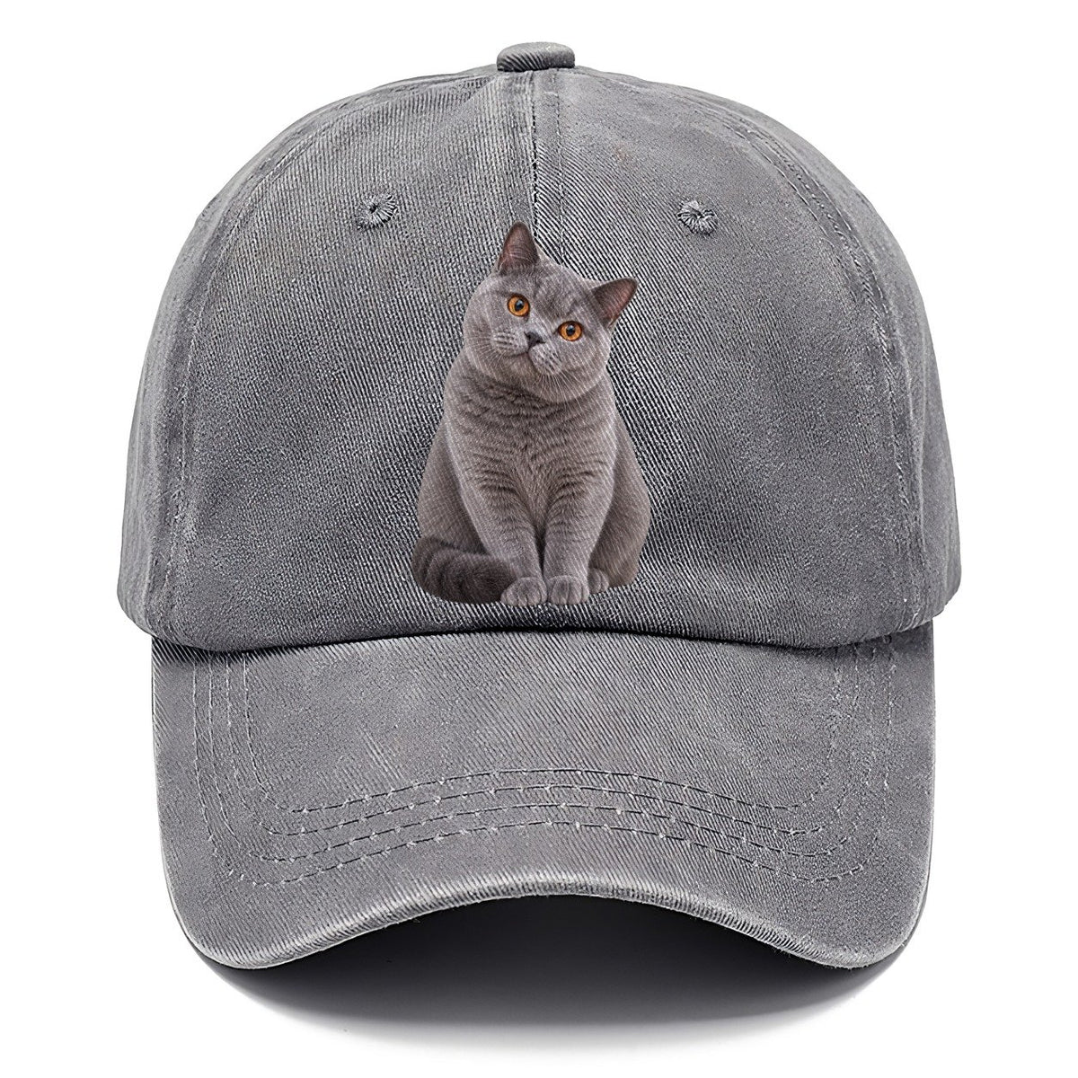 British Shorthair Seated Portrait Realistic Cat Portrait Classic Cap – Urban Haze