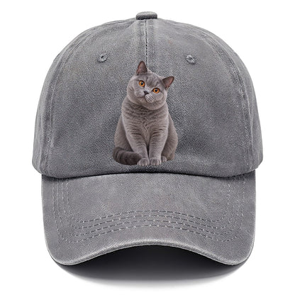 British Shorthair Seated Portrait Realistic Cat Portrait Classic Cap – Urban Haze