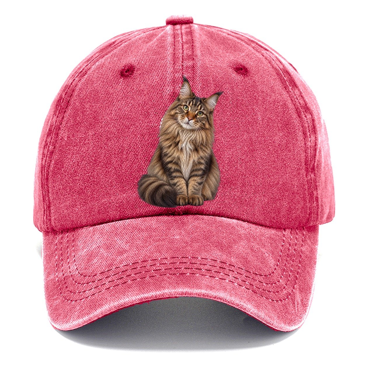 Maine Coon Seated Portrait Realistic Cat Portrait Classic Cap – Pomegranate Blush