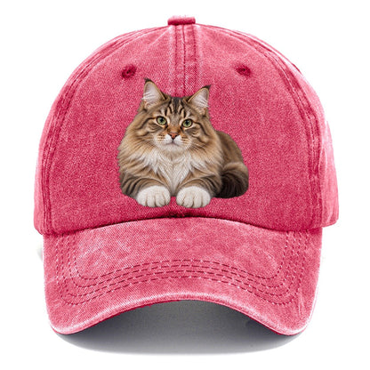 Siberian Reclining Paws Forward Realistic Cat Portrait Classic Cap – Pomegranate Blush