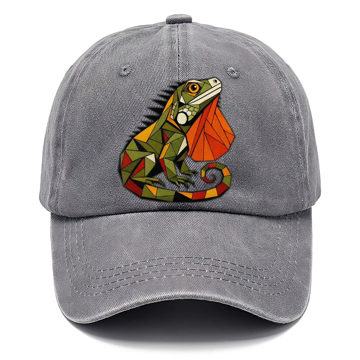 Iguana Sunbathing Profile Classic Cap – Urban Haze
