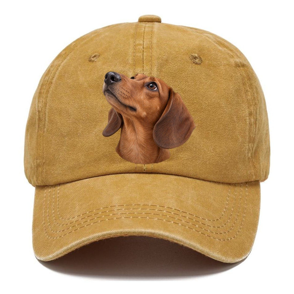 Dachshund Upturned Nose Character Club Classic Cap – Golden Harvest