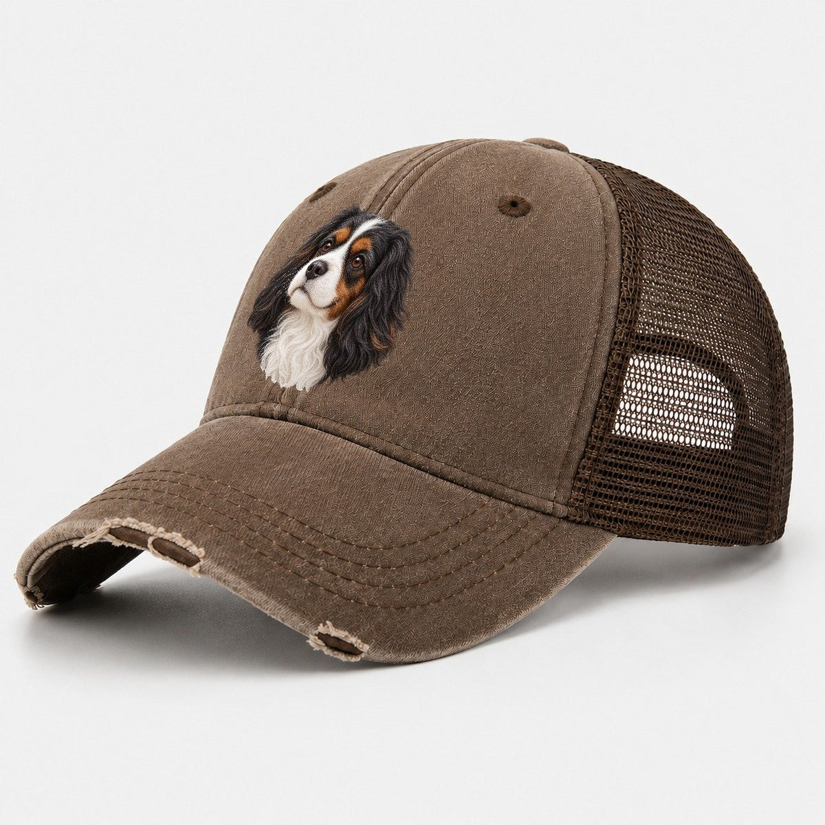 Cavalier Tricolour Smile Pastimes Companions Washed Trucker Hat – Coffee