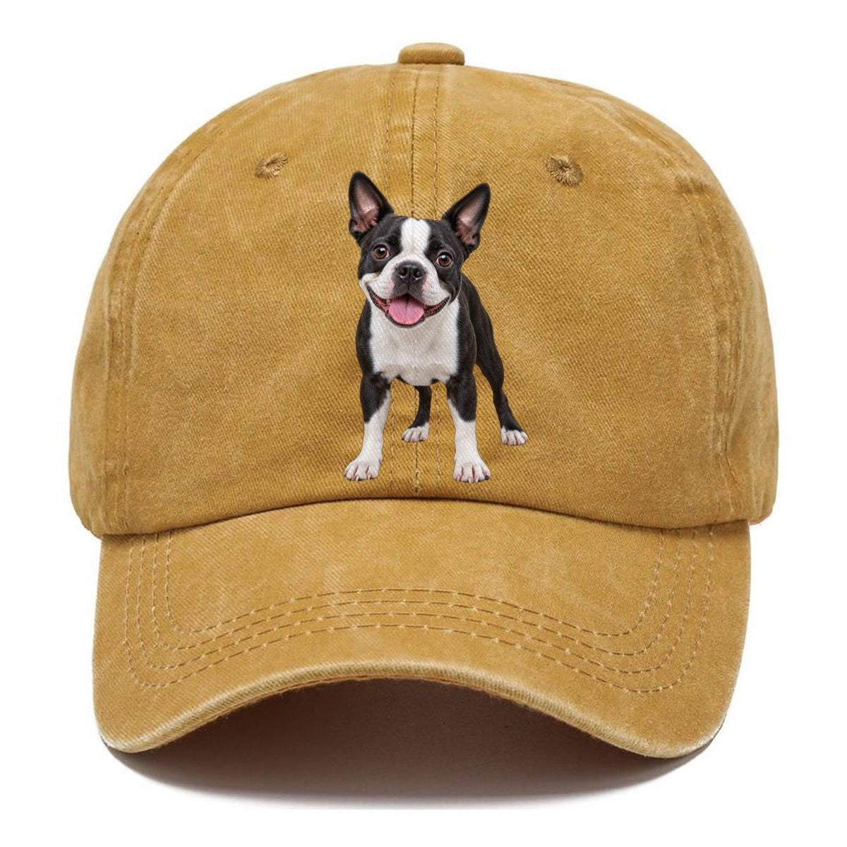 Boston Terrier Standing Top Breeds Classic Cap – Golden Harvest