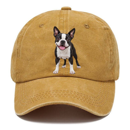 Boston Terrier Standing Top Breeds Classic Cap – Golden Harvest