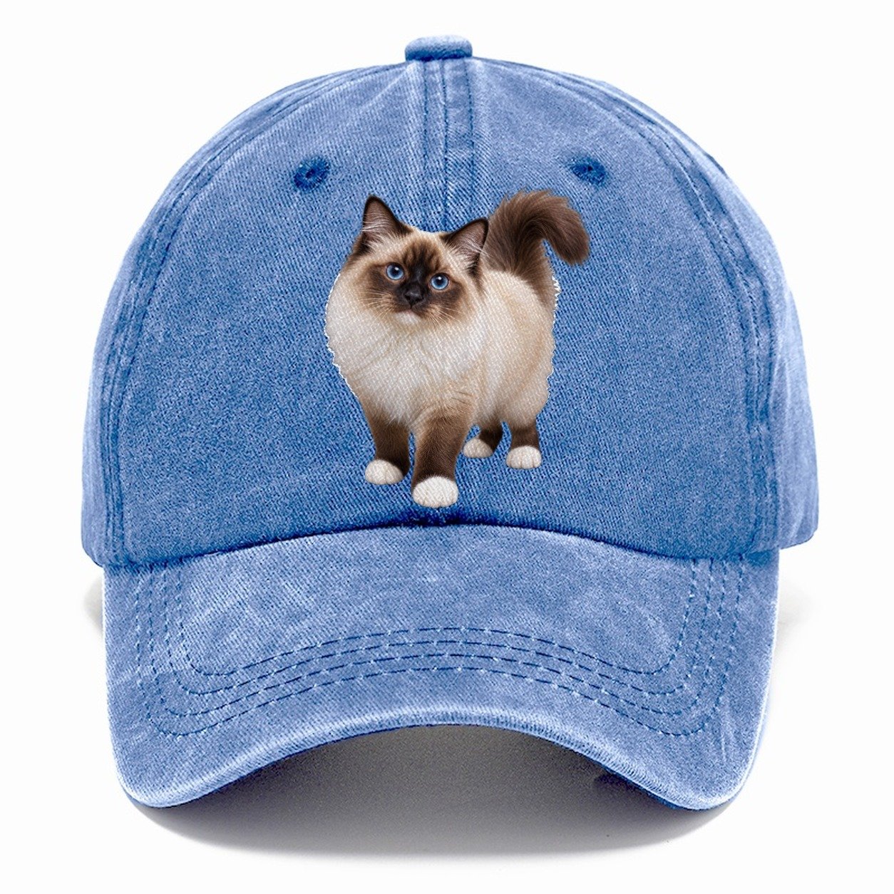Birman Standing Three Quarter Realistic Cat Portrait Classic Cap – Summer Sky