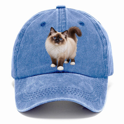 Birman Standing Three Quarter Realistic Cat Portrait Classic Cap – Summer Sky