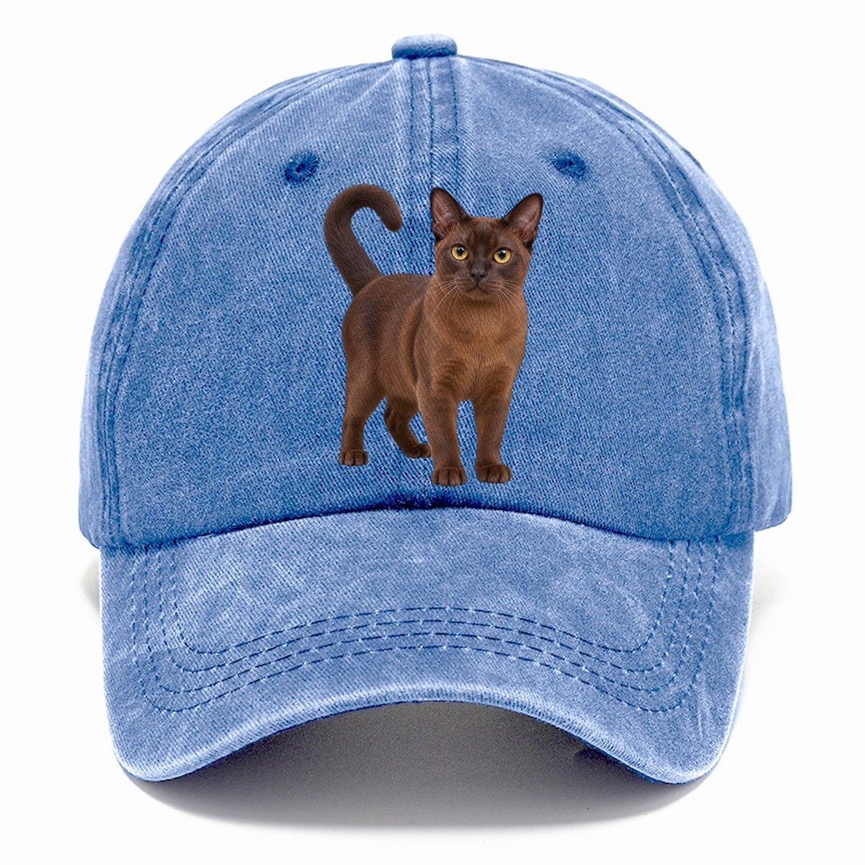 Burmese Standing Three Quarter Realistic Cat Portrait Classic Cap – Summer Sky