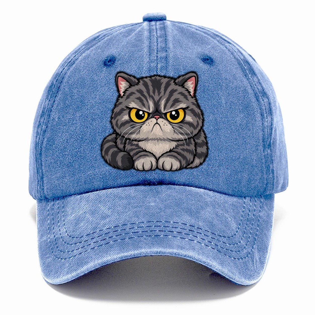 Exotic Shorthair Grumpy Sit Peeking Cats Classic Cap – Summer Sky