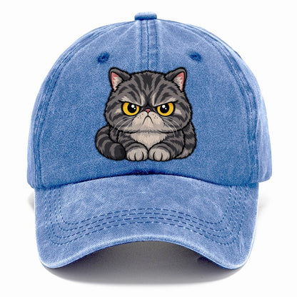 Exotic Shorthair Grumpy Sit Peeking Cats Classic Cap – Summer Sky