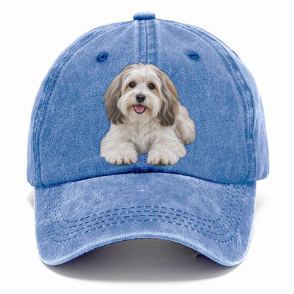 Havanese Lying Down Top Breeds Classic Cap – Summer Sky