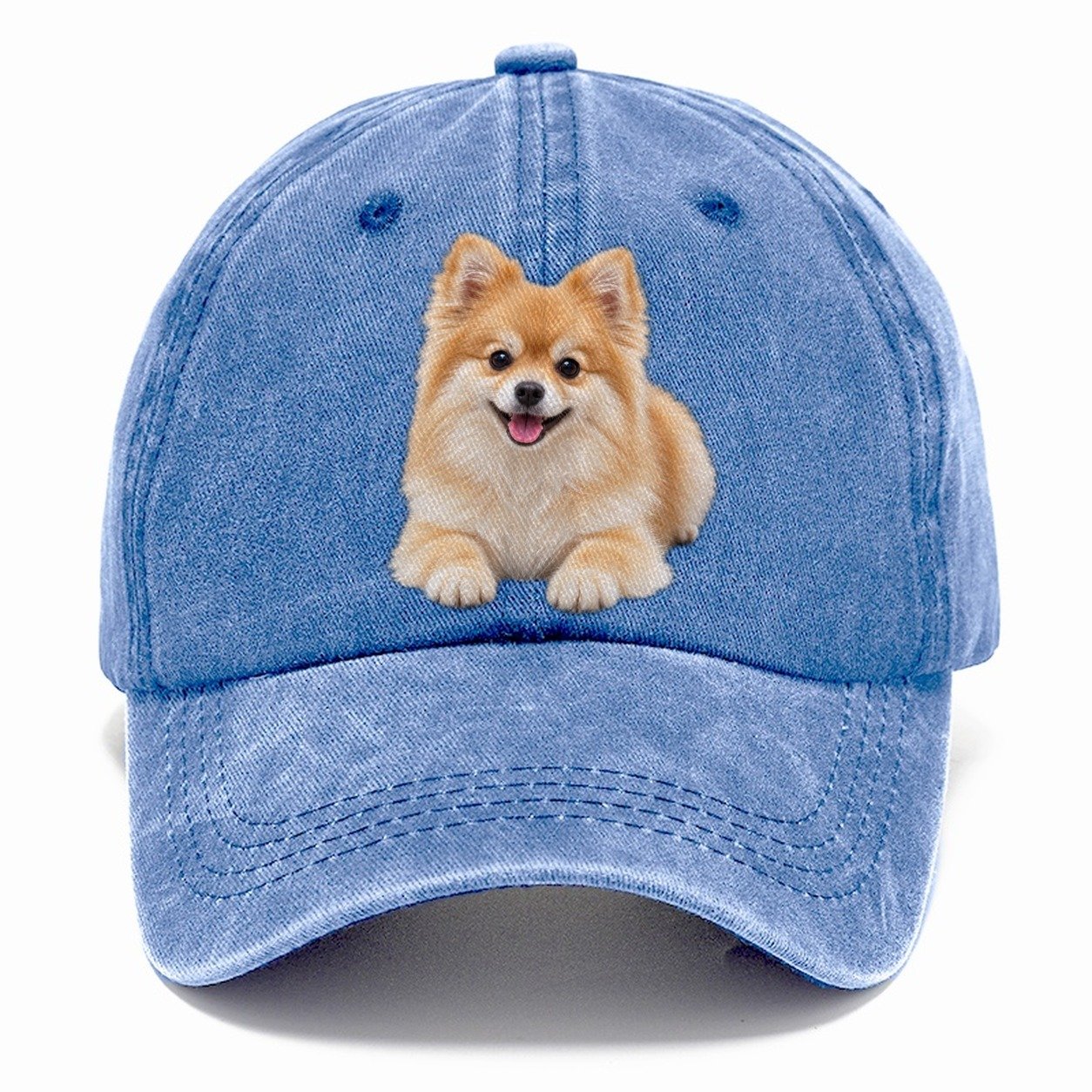 Pomeranian Lying Down Top Breeds Classic Cap – Summer Sky