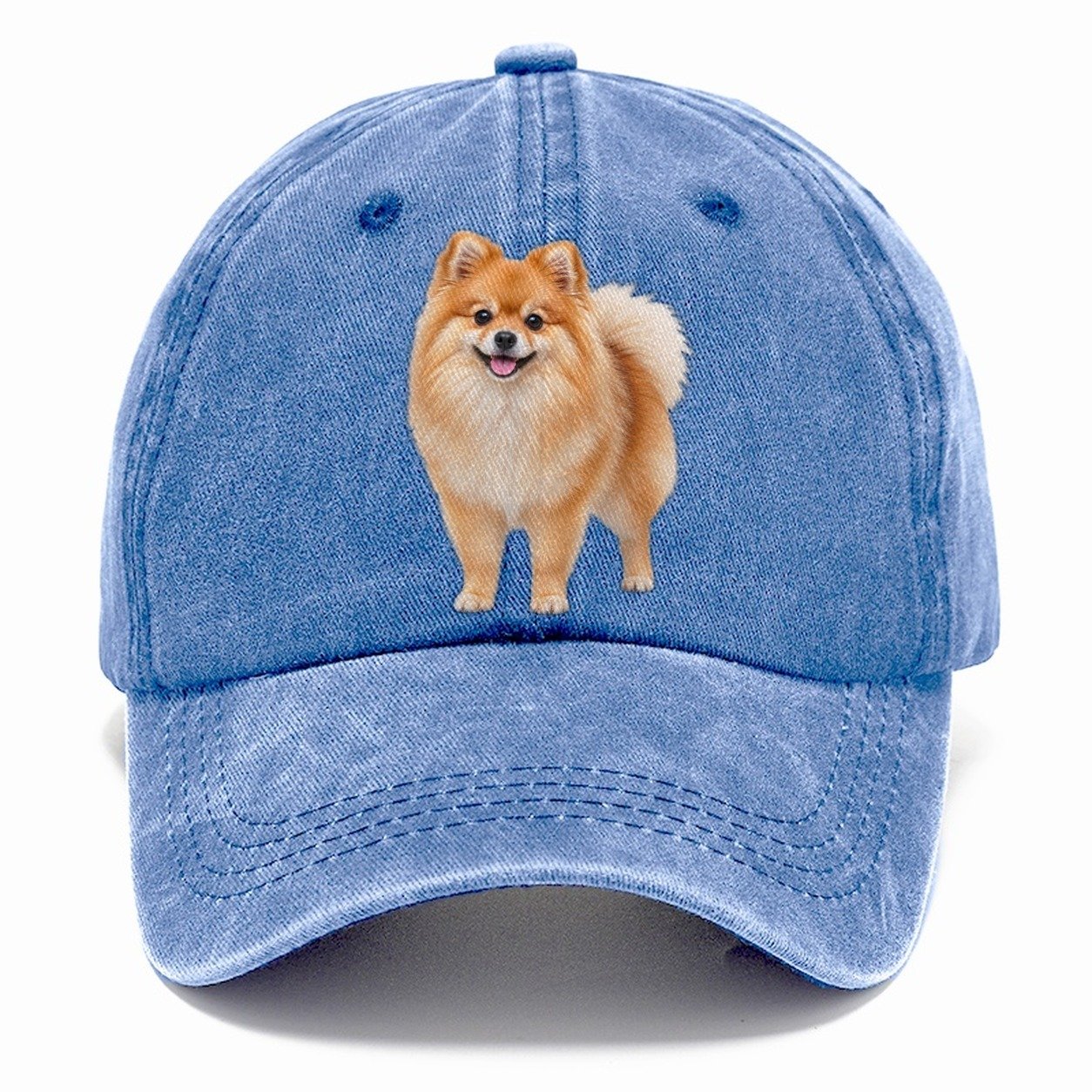Pomeranian Standing Top Breeds Classic Cap – Summer Sky