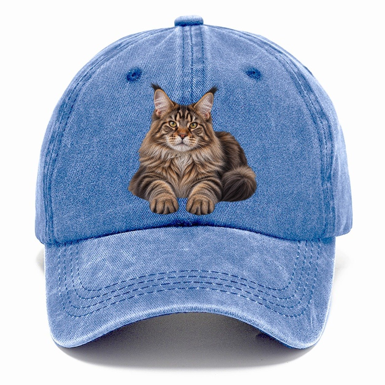 Maine Coon Reclining Paws Forward Realistic Cat Portrait Classic Cap – Summer Sky