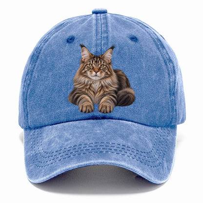 Maine Coon Reclining Paws Forward Realistic Cat Portrait Classic Cap – Summer Sky