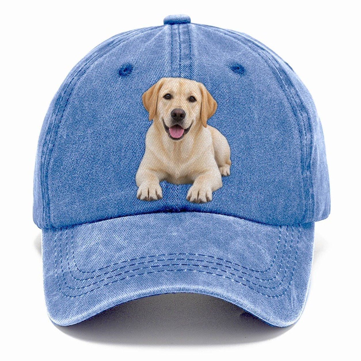 Labrador Retriever Lying Down Top Breeds Classic Cap – Summer Sky
