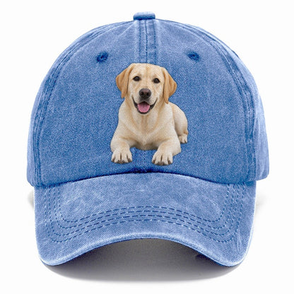 Labrador Retriever Lying Down Top Breeds Classic Cap – Summer Sky