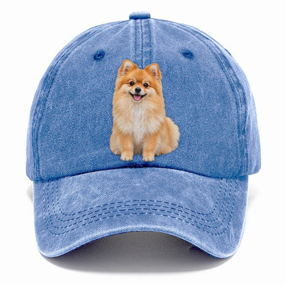 Pomeranian Sitting Top Breeds Classic Cap – Summer Sky