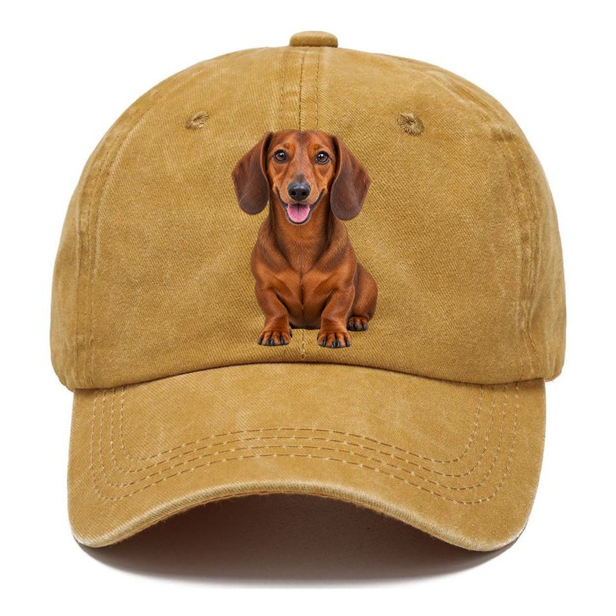 Dachshund Sitting Top Breeds Classic Cap – Golden Harvest
