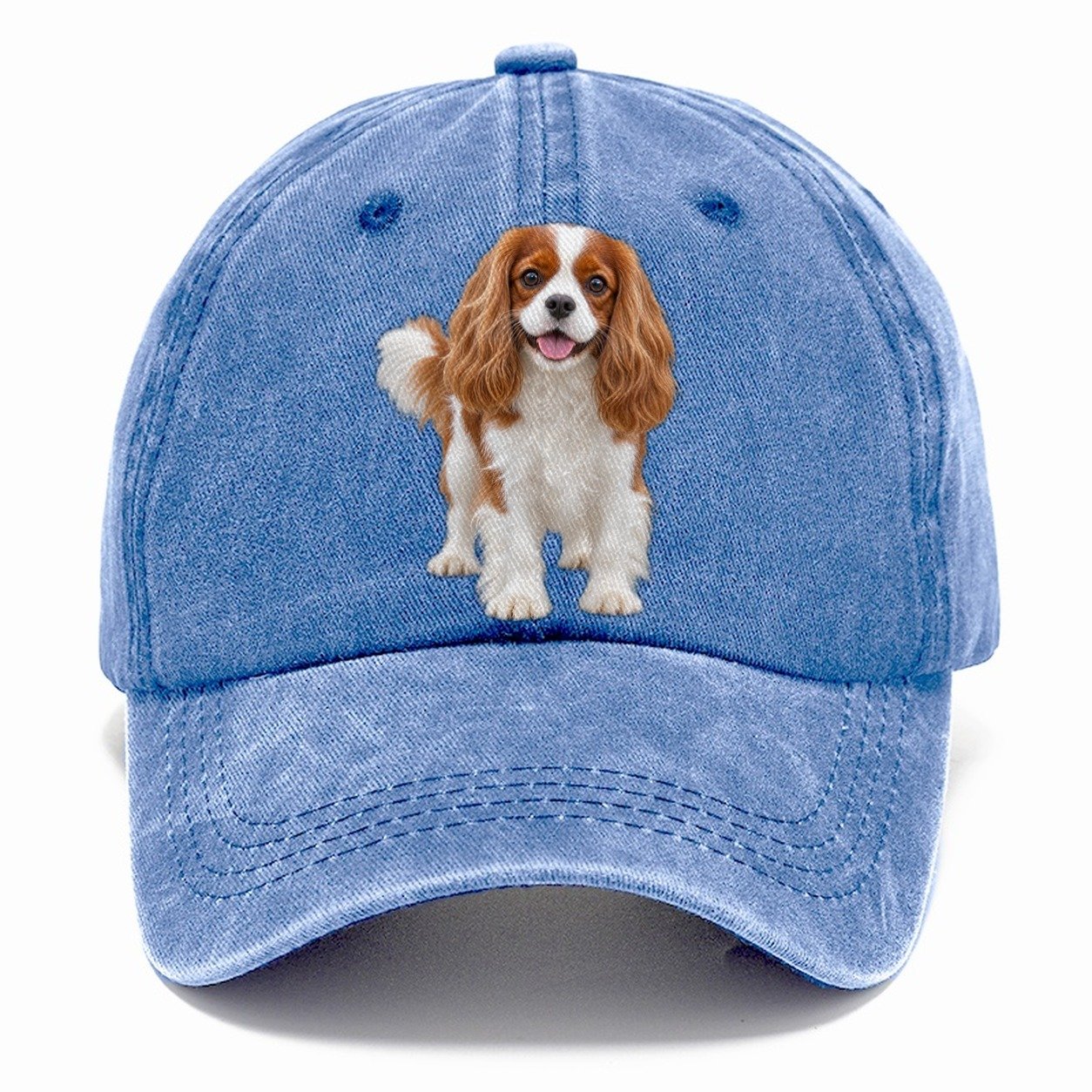 Cavalier King Charles Spaniel Standing Top Breeds Classic Cap – Summer Sky