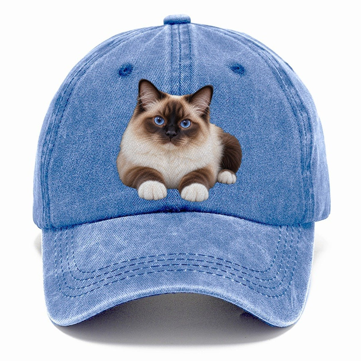 Birman Reclining Paws Forward Realistic Cat Portrait Classic Cap – Summer Sky
