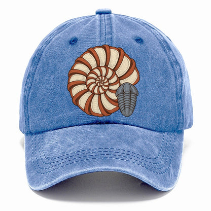 Ammonite Specimen Plate Rocks And Minerals Classic Cap – Summer Sky