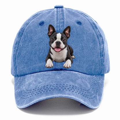Boston Terrier Lying Down Top Breeds Classic Cap – Summer Sky