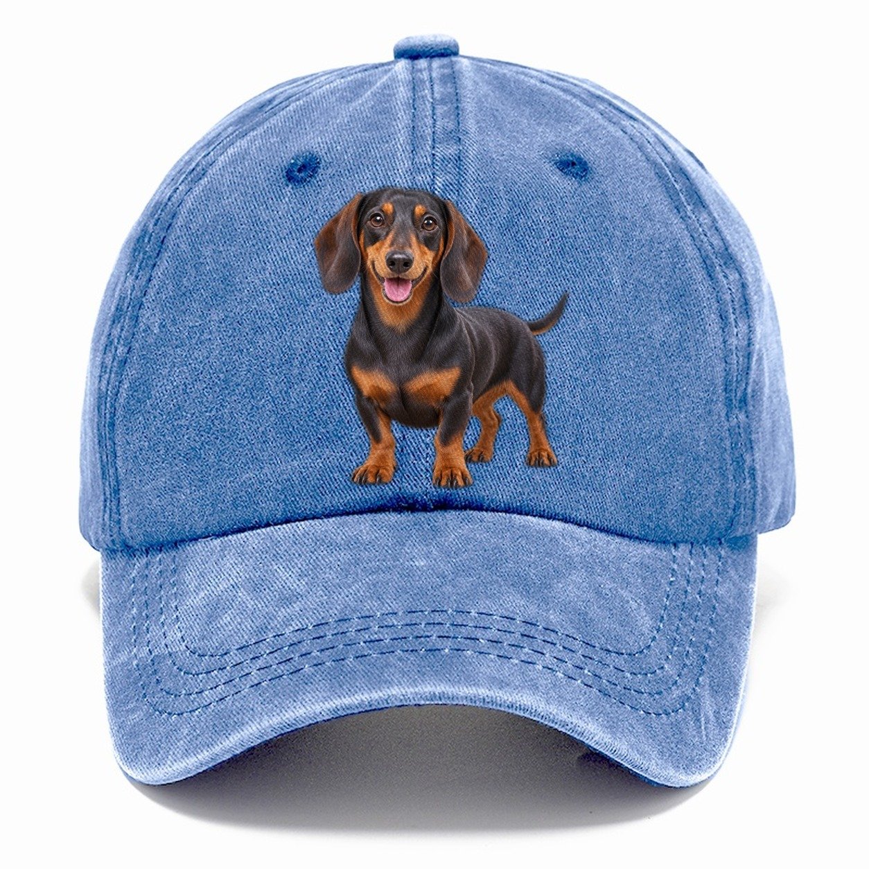 Dachshund Standing Top Breeds Classic Cap – Summer Sky