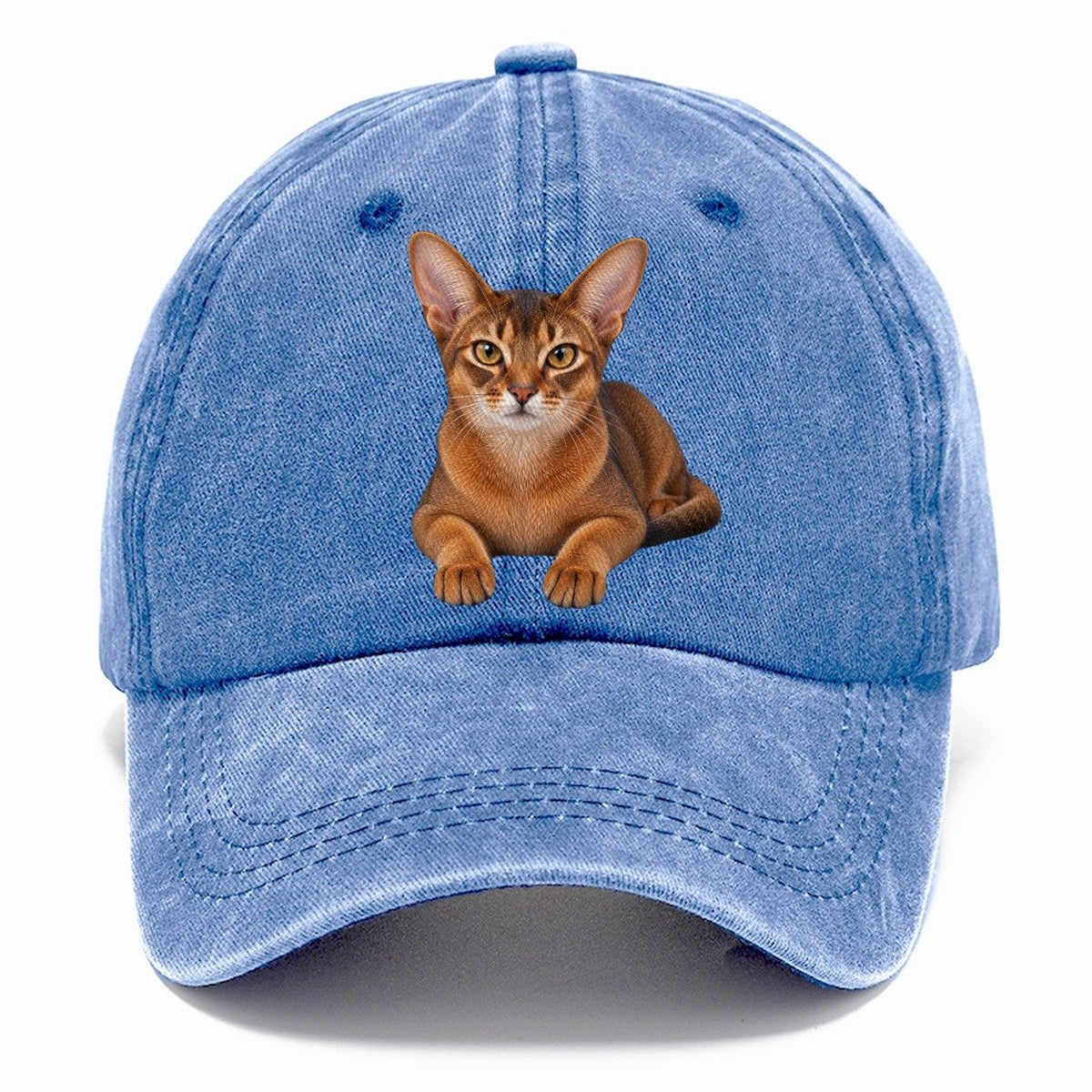 Abyssinian Reclining Paws Forward Realistic Cat Portrait Classic Cap – Summer Sky