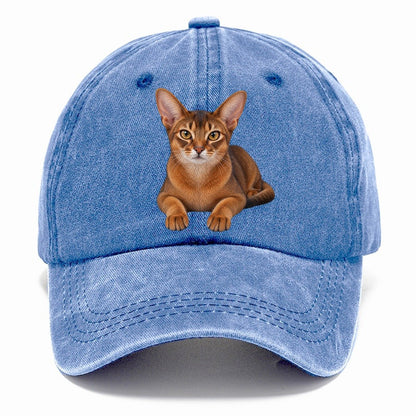 Abyssinian Reclining Paws Forward Realistic Cat Portrait Classic Cap – Summer Sky
