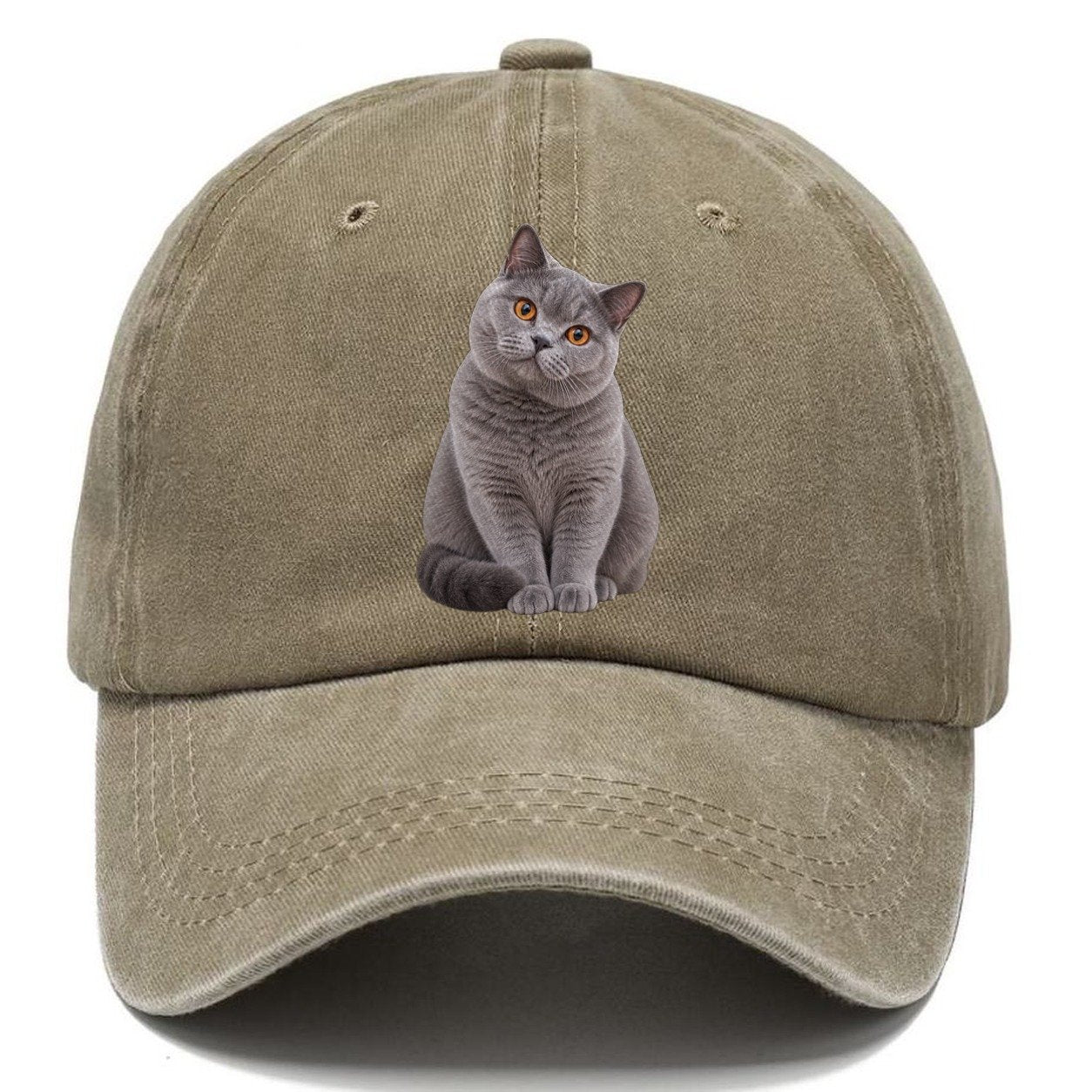 British Shorthair Seated Portrait Realistic Cat Portrait Classic Cap – Warm Sand