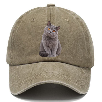 British Shorthair Seated Portrait Realistic Cat Portrait Classic Cap – Warm Sand