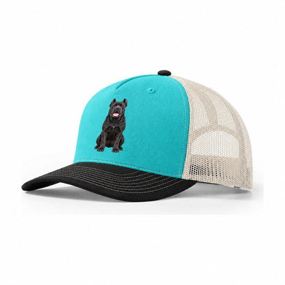 Cane Corso Sitting Top Breeds Trucker Hat – Aqua Black White