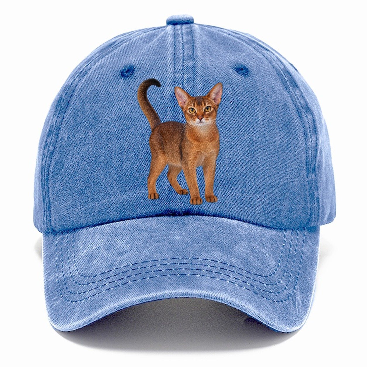Abyssinian Standing Three Quarter Realistic Cat Portrait Classic Cap – Summer Sky