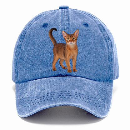 Abyssinian Standing Three Quarter Realistic Cat Portrait Classic Cap – Summer Sky