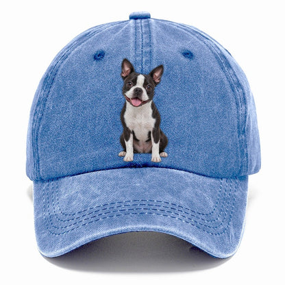Boston Terrier Sitting Top Breeds Classic Cap – Summer Sky