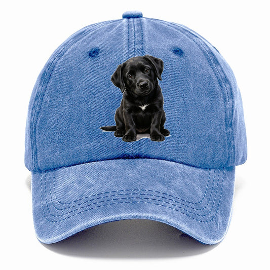 Black Puppy Classic Cap – Summer Sky
