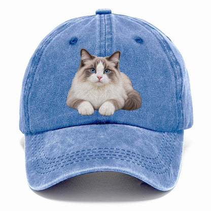 Ragdoll Reclining Paws Forward Realistic Cat Portrait Classic Cap – Summer Sky