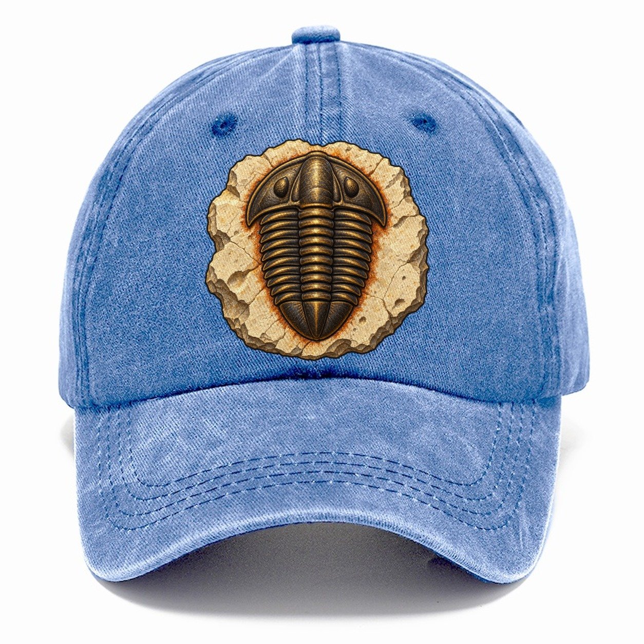 Trilobite In Limestone Rocks And Minerals Classic Cap – Summer Sky