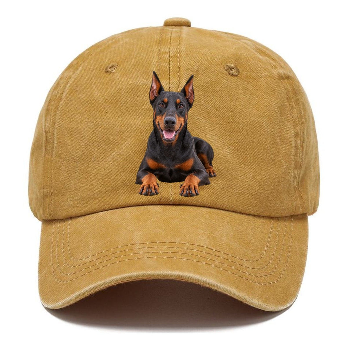 Doberman Pinscher Lying Down Top Breeds Classic Cap – Golden Harvest