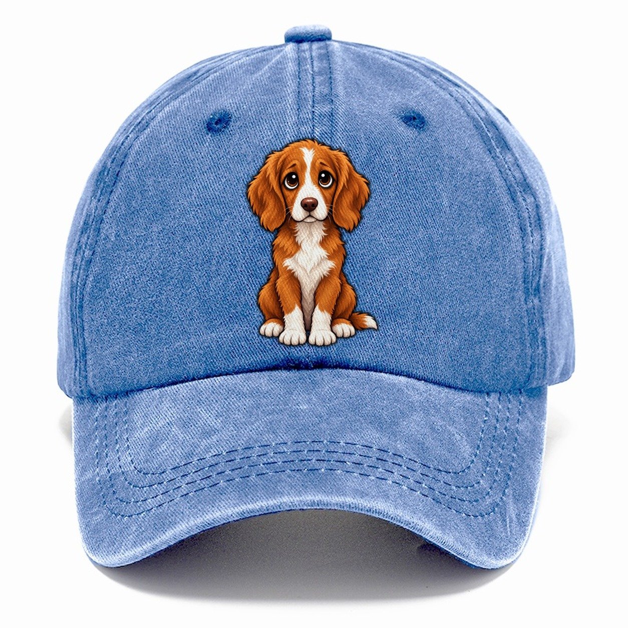 Nova Scotia Duck Tolling Retriever Sitting Sweetheart Classic Cap – Summer Sky