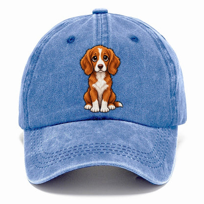 Nova Scotia Duck Tolling Retriever Sitting Sweetheart Classic Cap – Summer Sky