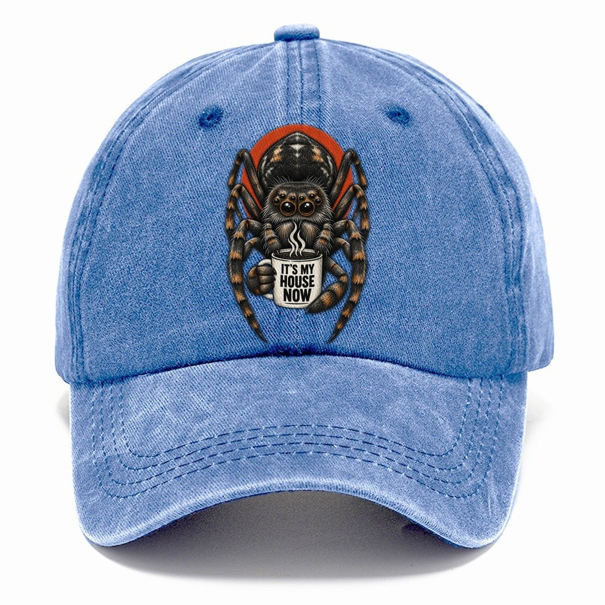 Spider Mug Truths Classic Cap – Summer Sky
