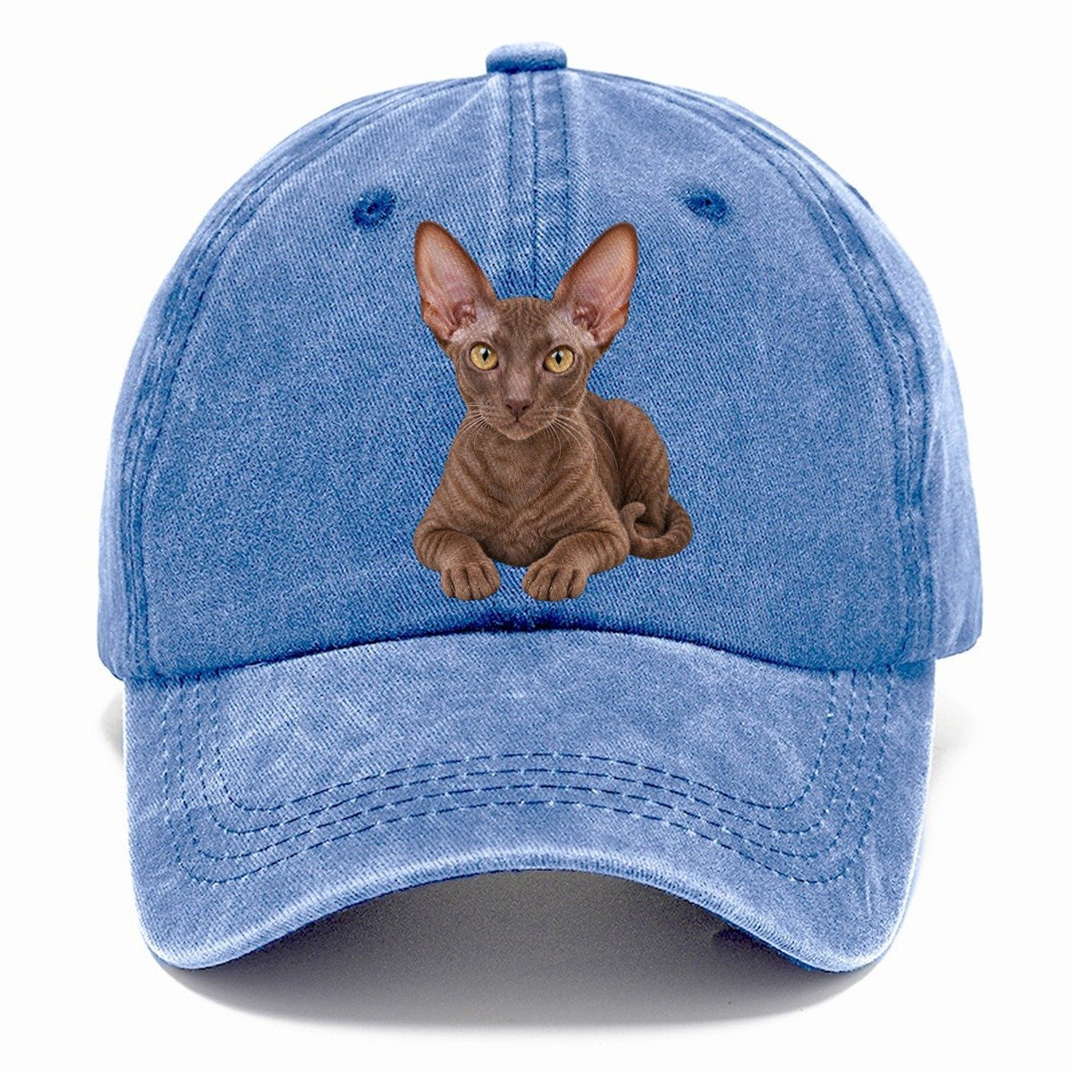 Cornish Rex Reclining Paws Forward Realistic Cat Portrait Classic Cap – Summer Sky