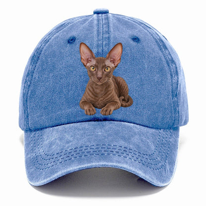 Cornish Rex Reclining Paws Forward Realistic Cat Portrait Classic Cap – Summer Sky